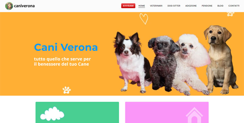 portfolio web designer cani verona